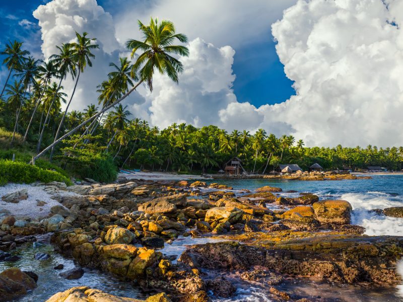 Vacanza - Sri Lanka - CrilumaViaggi