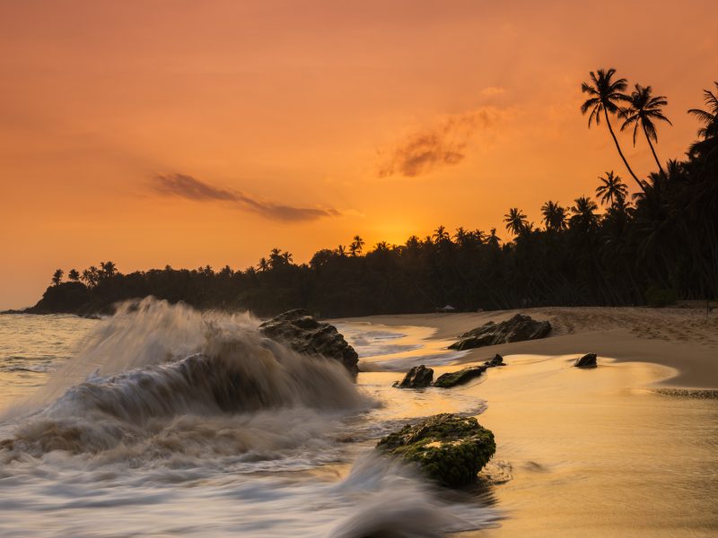 Vacanza - Sri Lanka - CrilumaViaggi