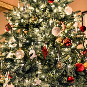 Mercatini di Natale Veneto e Trentino (14 - 15 Dicembre 2024)