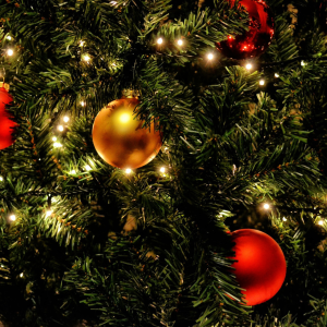 Mercatini di Natale Veneto e Trentino (30 Novembre - 01 Dicembre 2024)